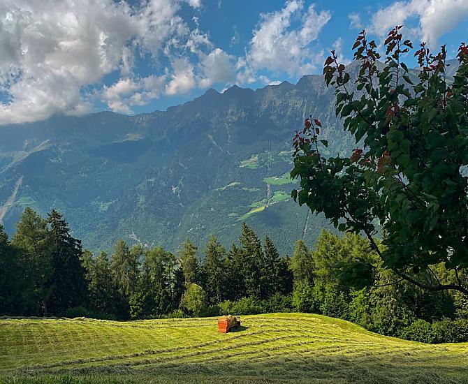 Flatscherhof - Bildergalerie Photo