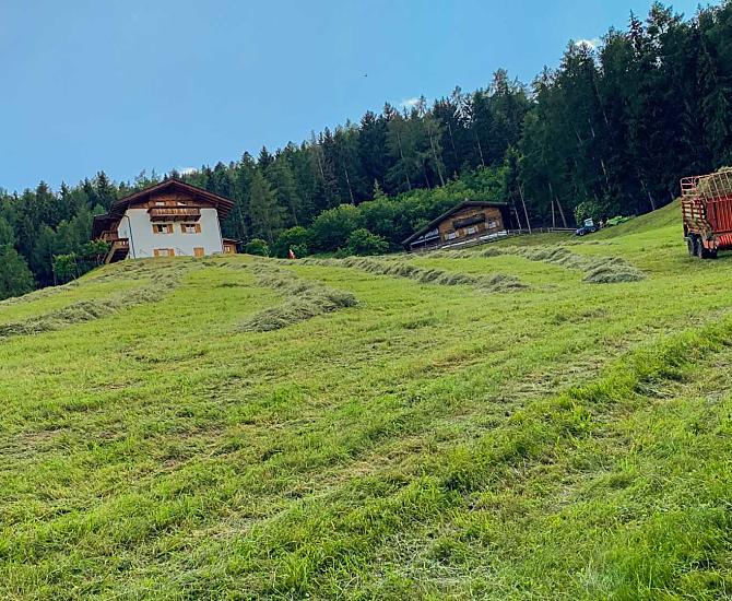Flatscherhof - Bildergalerie Photo
