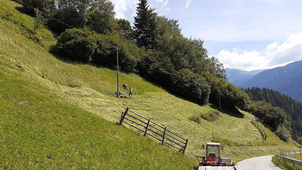 Gestione del paesaggio - fienagione su pendii ripidi.