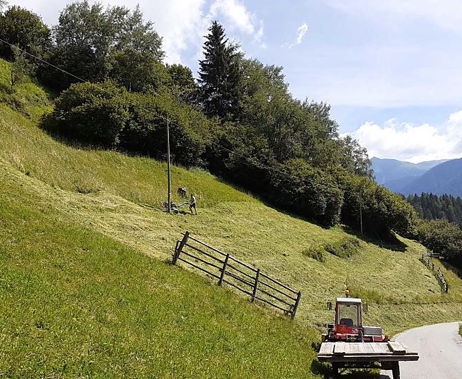 Gestione del paesaggio - fienagione su pendii ripidi.