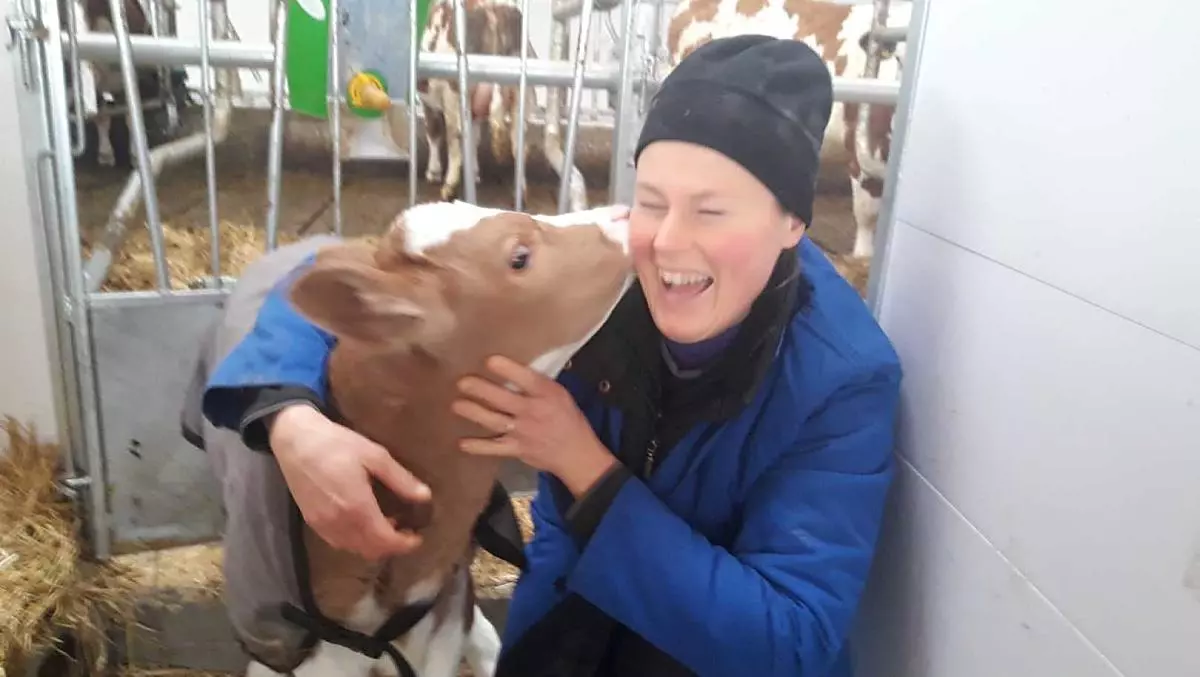 Un bacio nella stalla!