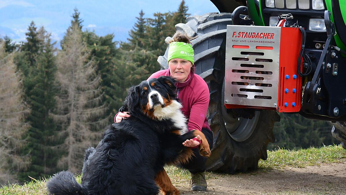 Il nostro cane da montagna bernese Rocky
