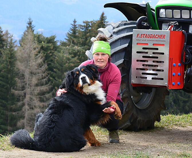 Il nostro cane da montagna bernese Rocky