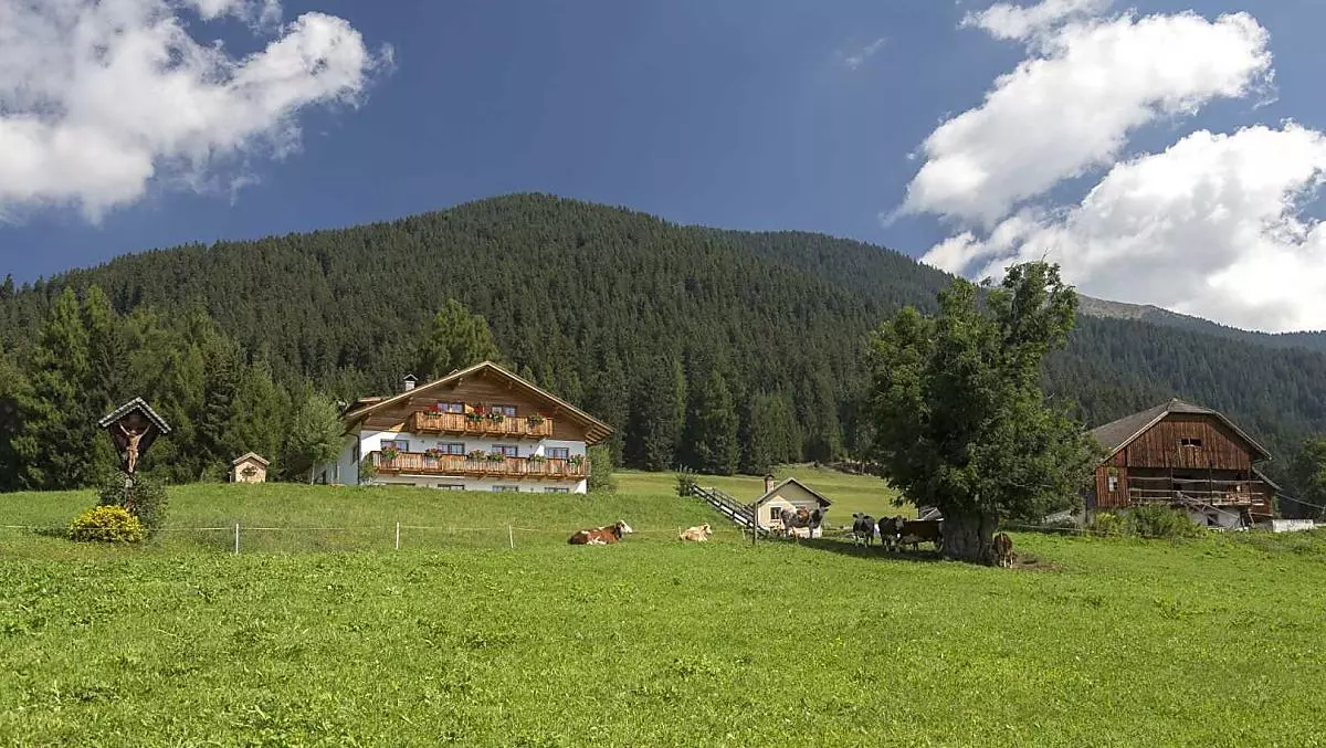 Mahrhof - Bildergalerie Photo