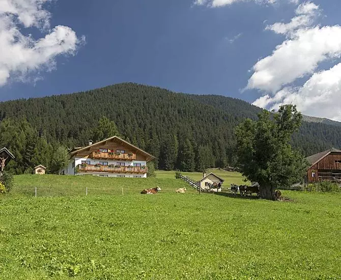 Mahrhof - Bildergalerie Photo
