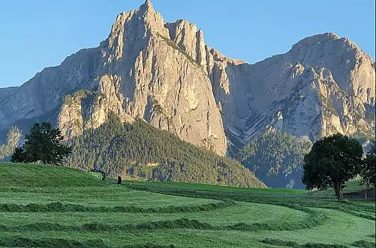 Raccolta dei campi
