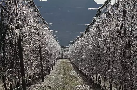 Ghiaccio contro il gelo