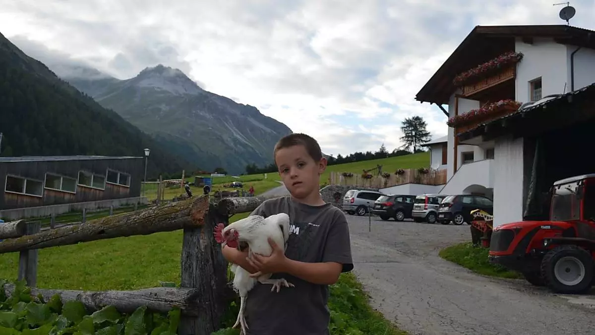 La gallina si diverte ad essere accarezzata
