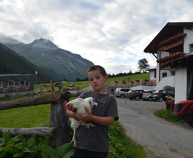 La gallina si diverte ad essere accarezzata