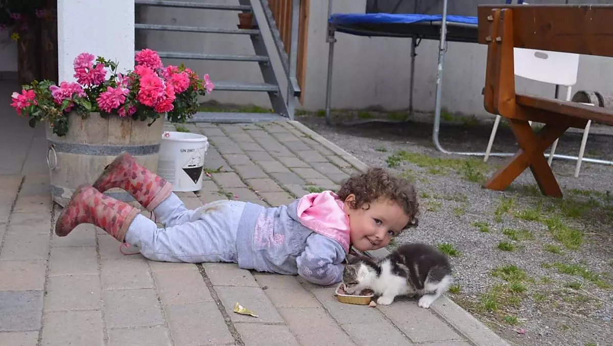 Il gattino ha fame