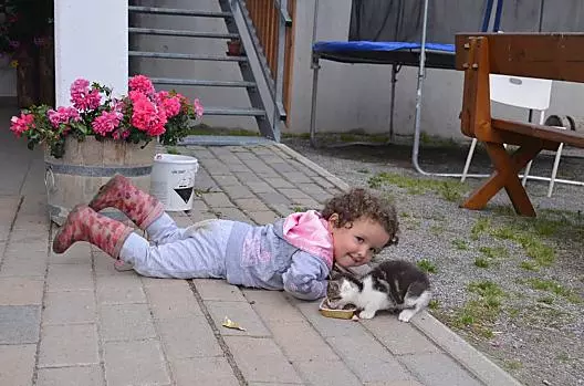 Il gattino ha fame