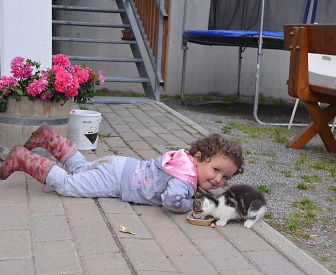 Il gattino ha fame