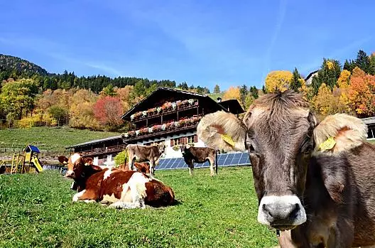 Wegscheiderhof - Liste Photo