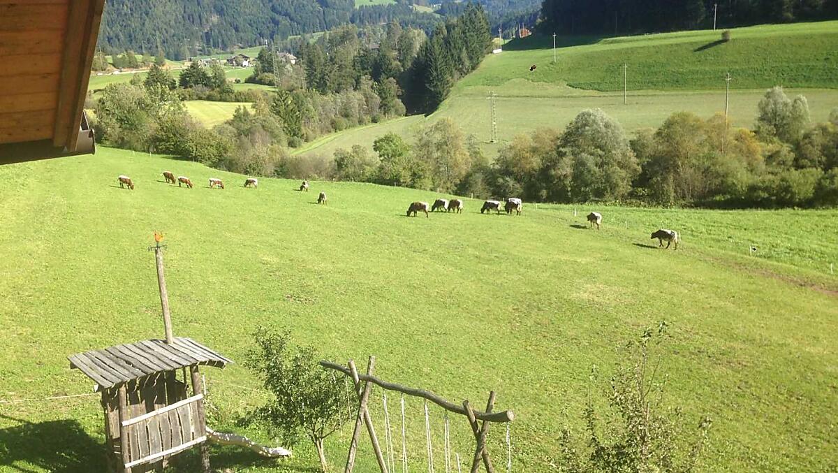 Pascolo d'autunno