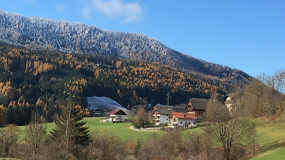 L'autunno colora gli alberi