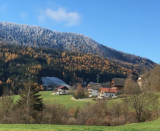 L'autunno colora gli alberi