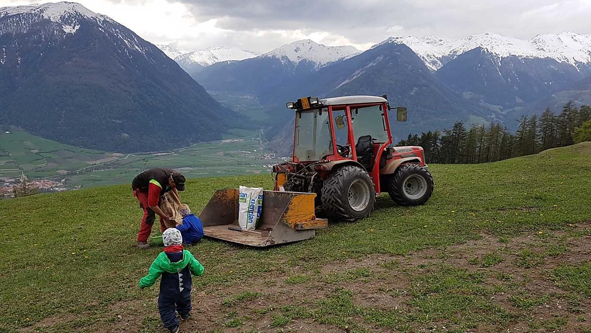 Seminare il prato per far crescere l'erba fresca in estate