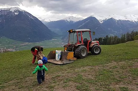Seminare il prato per far crescere l'erba fresca in estate