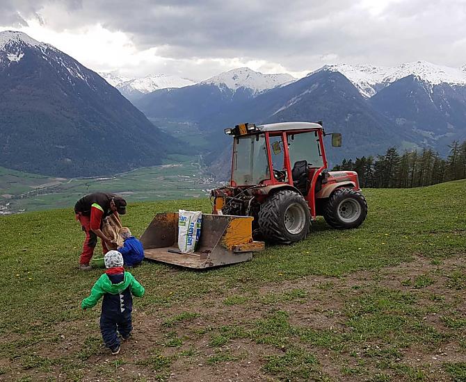 Seminare il prato per far crescere l'erba fresca in estate