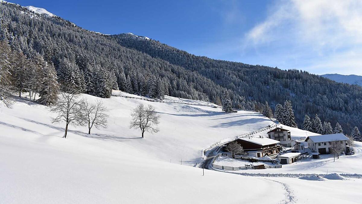 Inverno, un periodo tranquillo nel maso