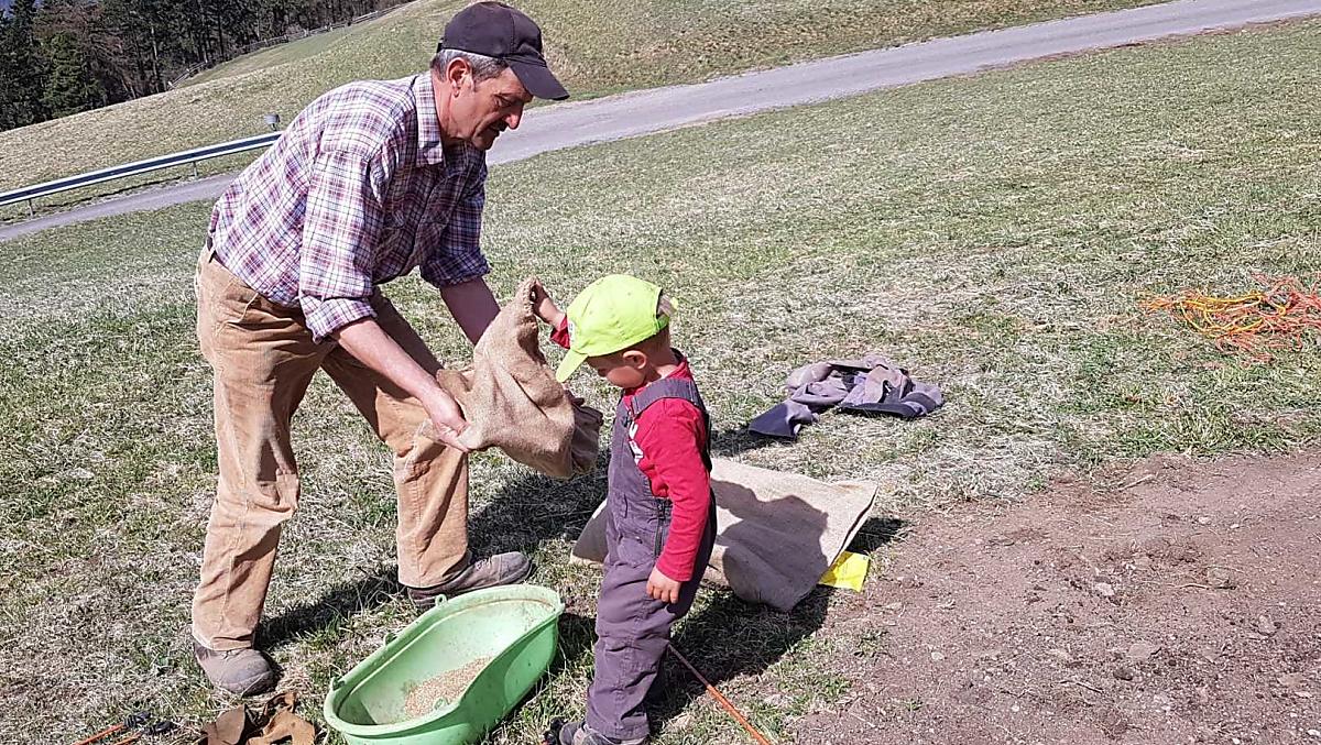 Seminare il prato con il nonno