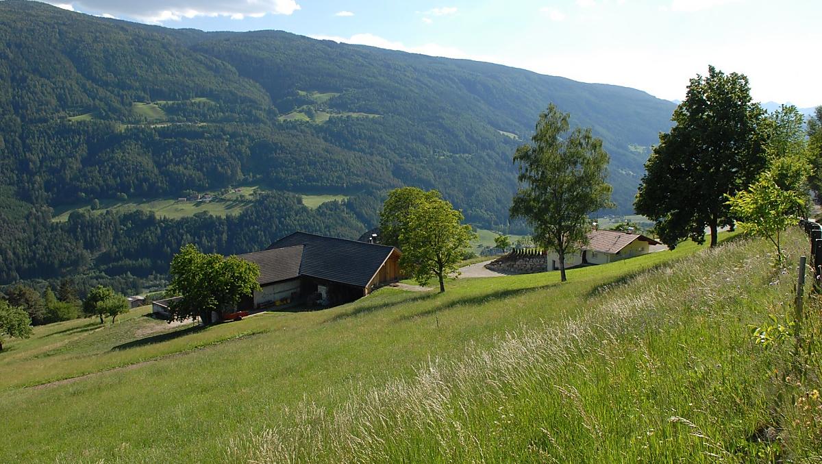 Eichnerhof - Bildergalerie Photo