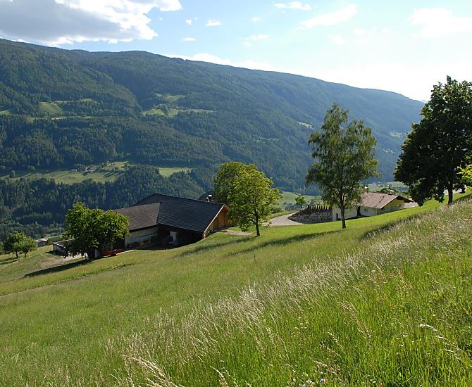 Eichnerhof - Bildergalerie Photo