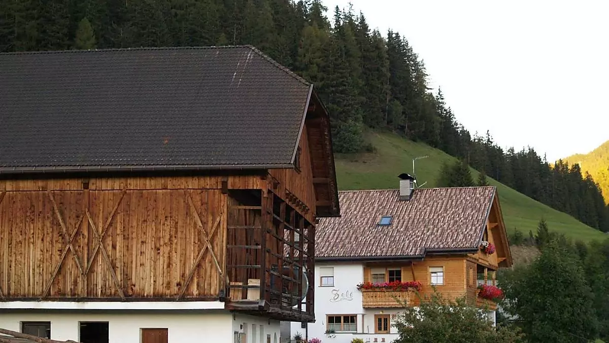 Zele - Bildergalerie Photo