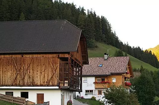 Zele - Liste Photo