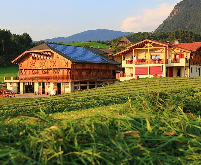 Radauerhof - Bildergalerie Photo