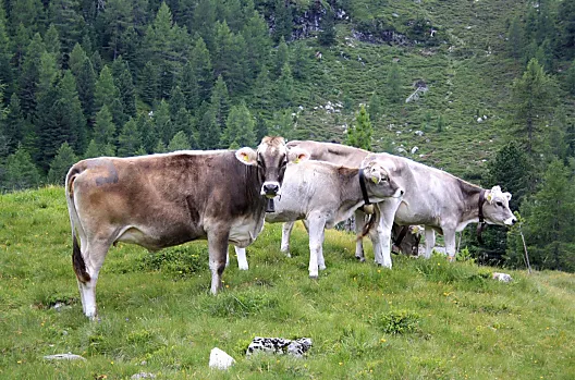 Masitterhof - Liste Photo