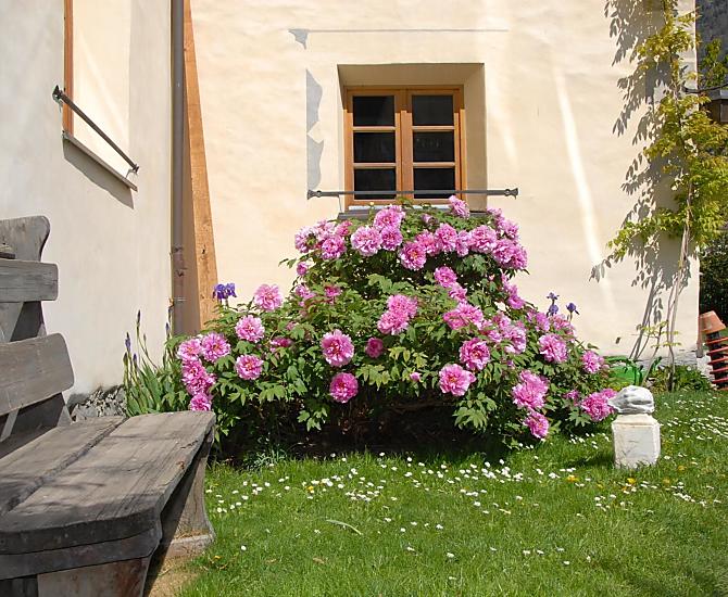 Bauernhof Vill - Bildergalerie Photo