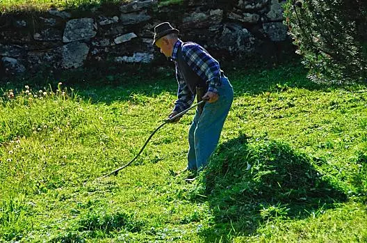 Che siano giovani o anziani, tutti aiutano.