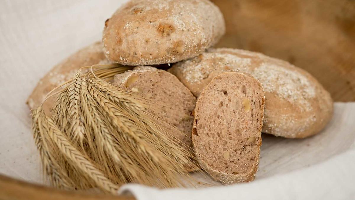 Pane alle noci, cotto nel forno a pietra del maso con il nostro grano