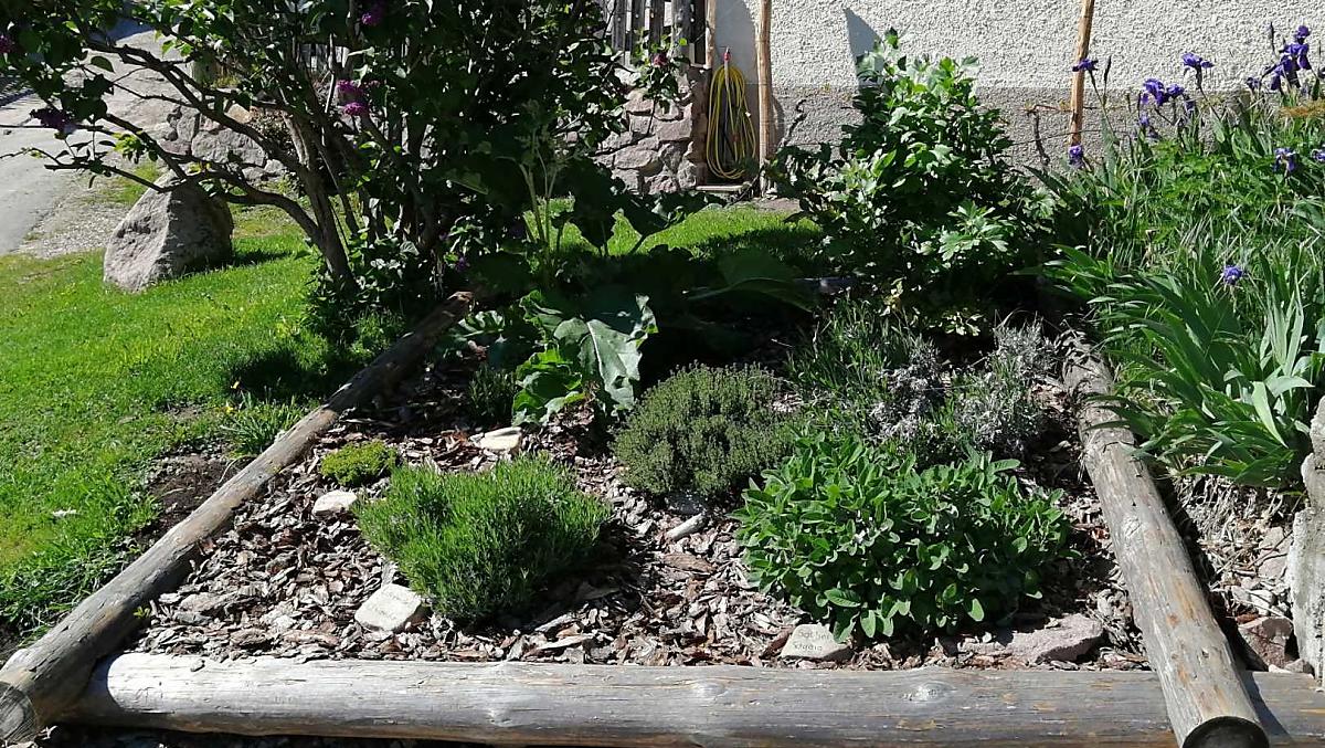 Giardino delle erbe