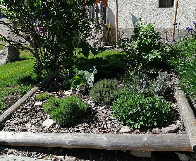Giardino delle erbe
