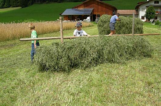 Grandi e piccoli alla raccolta del fieno