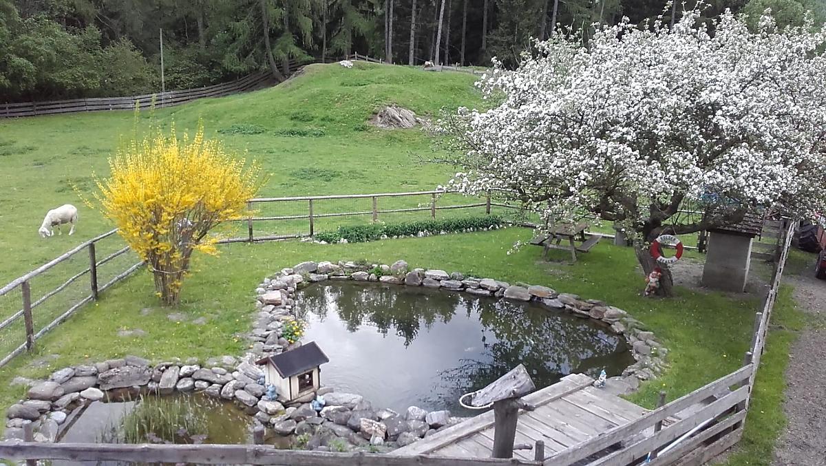 Ralserhof - Bildergalerie Photo