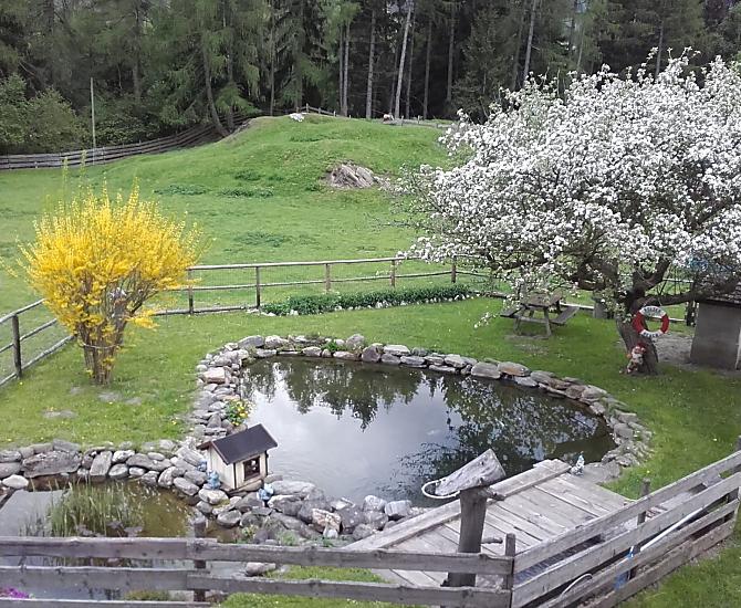 Ralserhof - Bildergalerie Photo