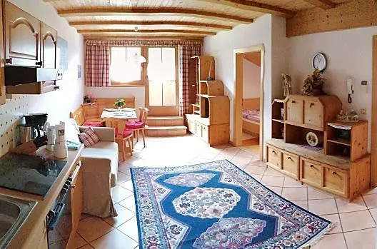Accogliente soggiorno del grande appartamento con balcone 