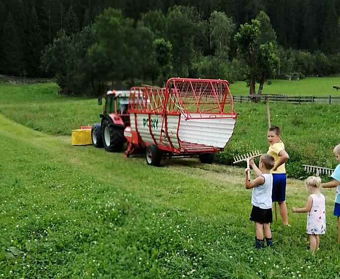 Ralserhof - Bildergalerie Photo
