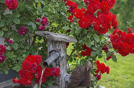 Garberhof - Liste Photo
