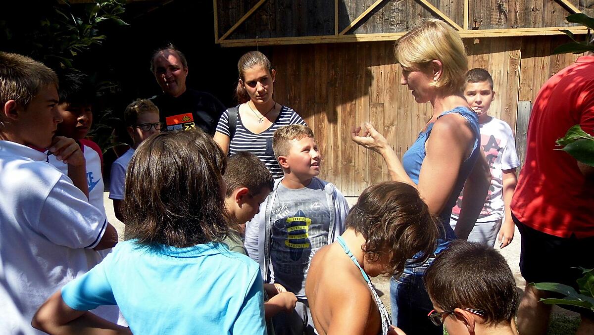 Visita al maso