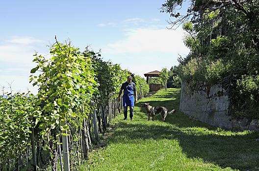 Engadinerhof - Liste Photo