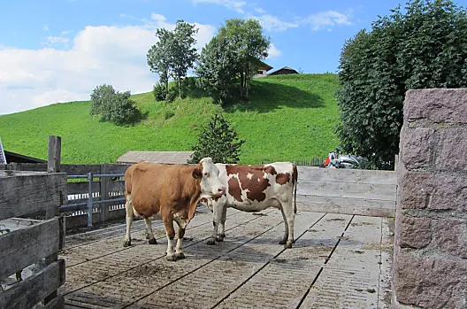 Schildberghof - Liste Photo