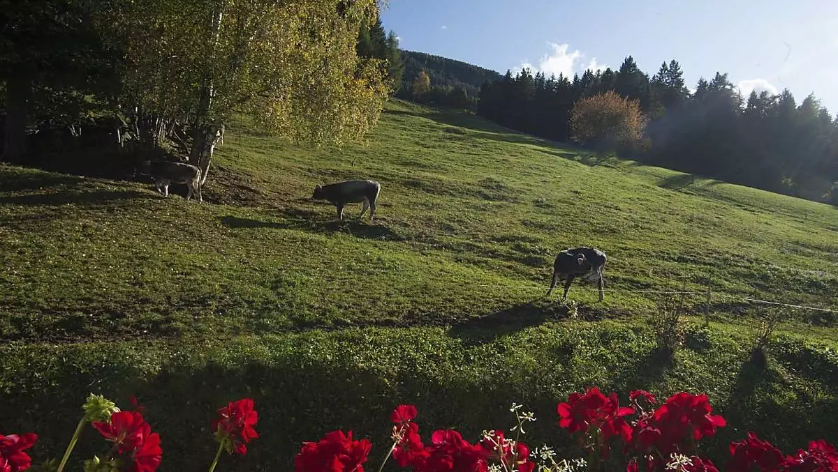 Giochi di colori in autunno