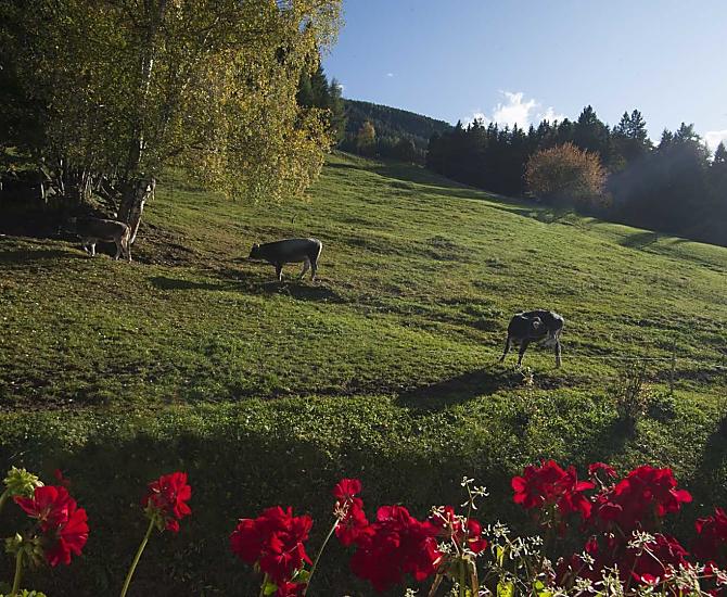 Giochi di colori in autunno