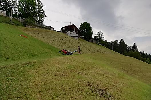 Raccolta del fieno