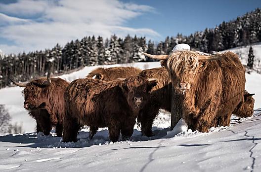 Stockerhof - Liste Photo