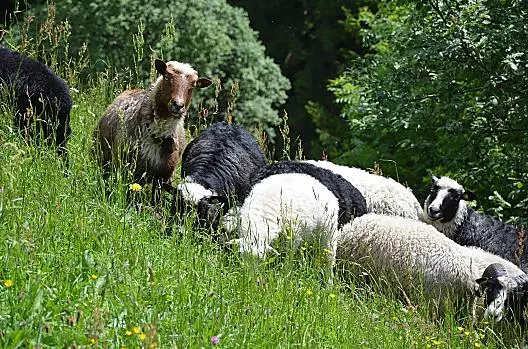 Kindlerhof - Liste Photo